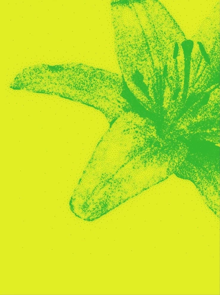 A decorative image of geometric sphere