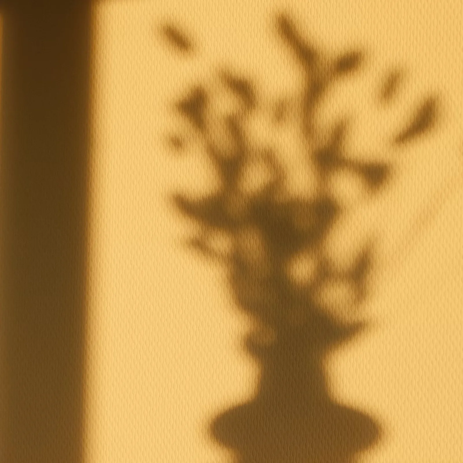 Shadow of a flowering vase on a golden wall