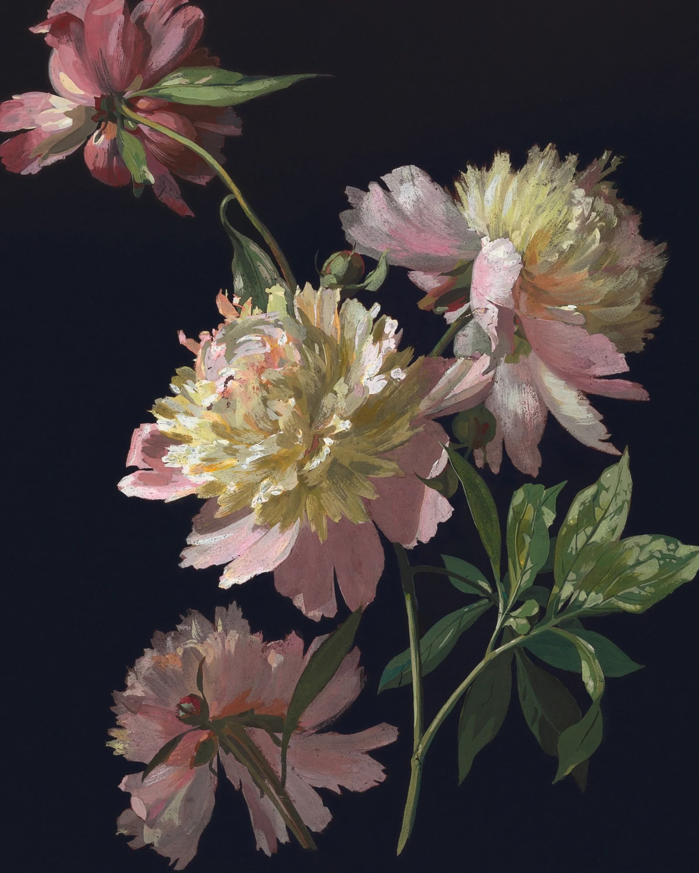 i2y2-product-page-asset-backgrounds-flowers-08-4-5