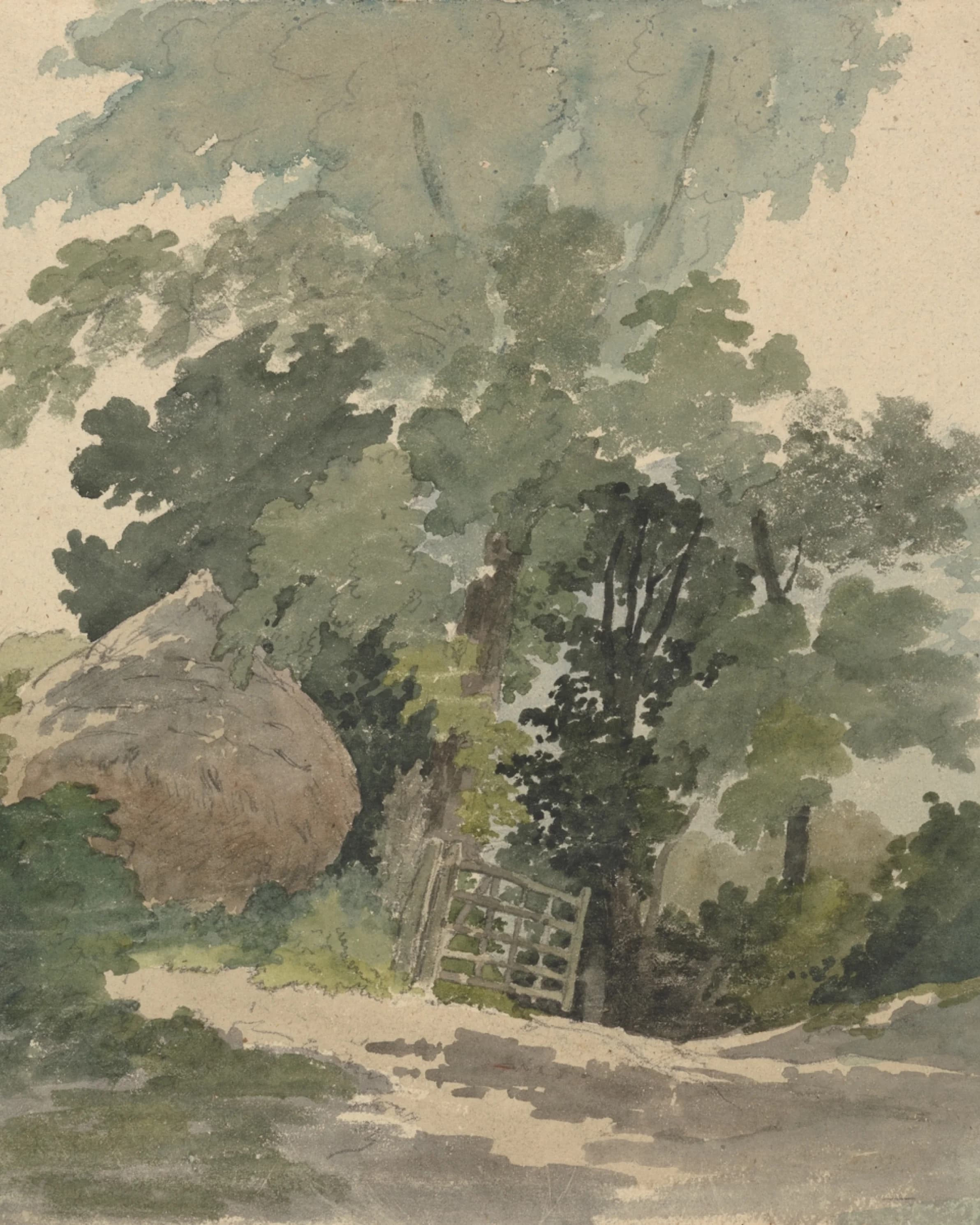 i2y2-product-page-asset-backgrounds-countryside-09-4-5