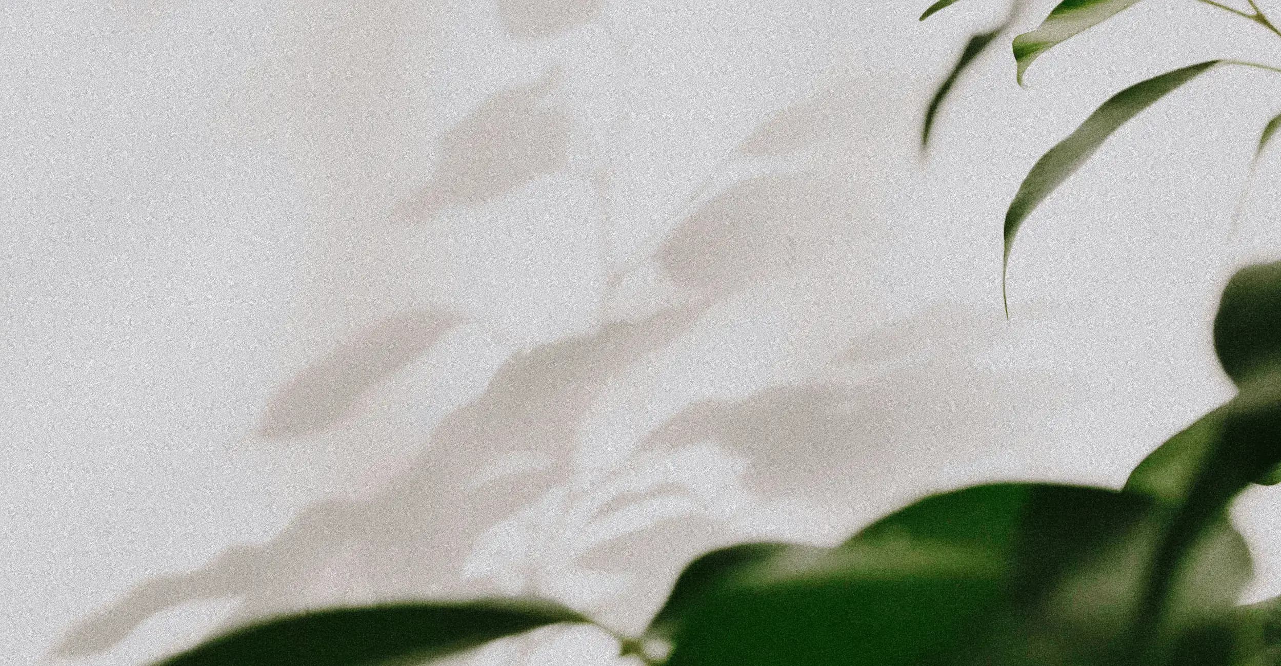 Decorative background image