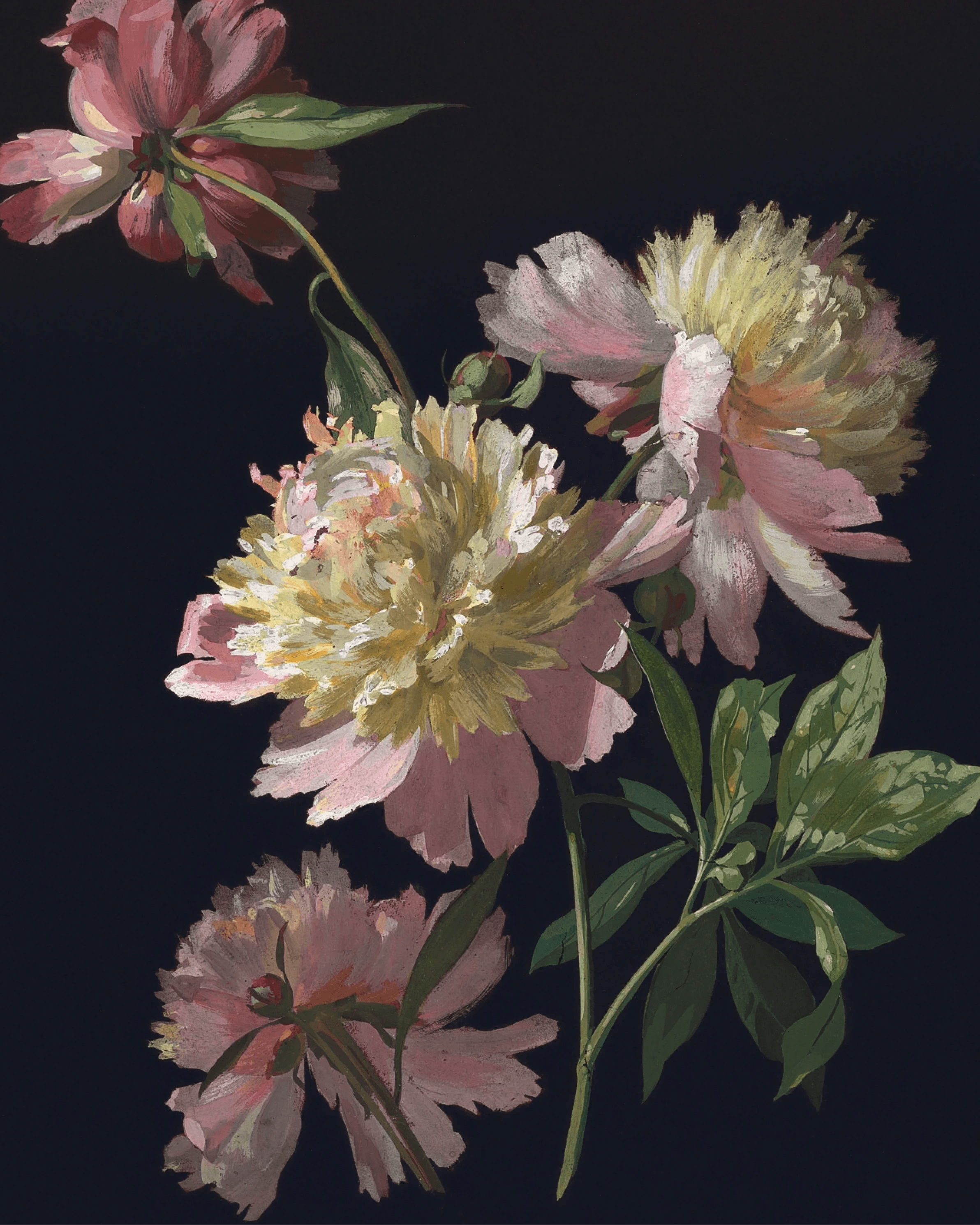 i2y2-product-page-asset-backgrounds-flowers-08-4-5