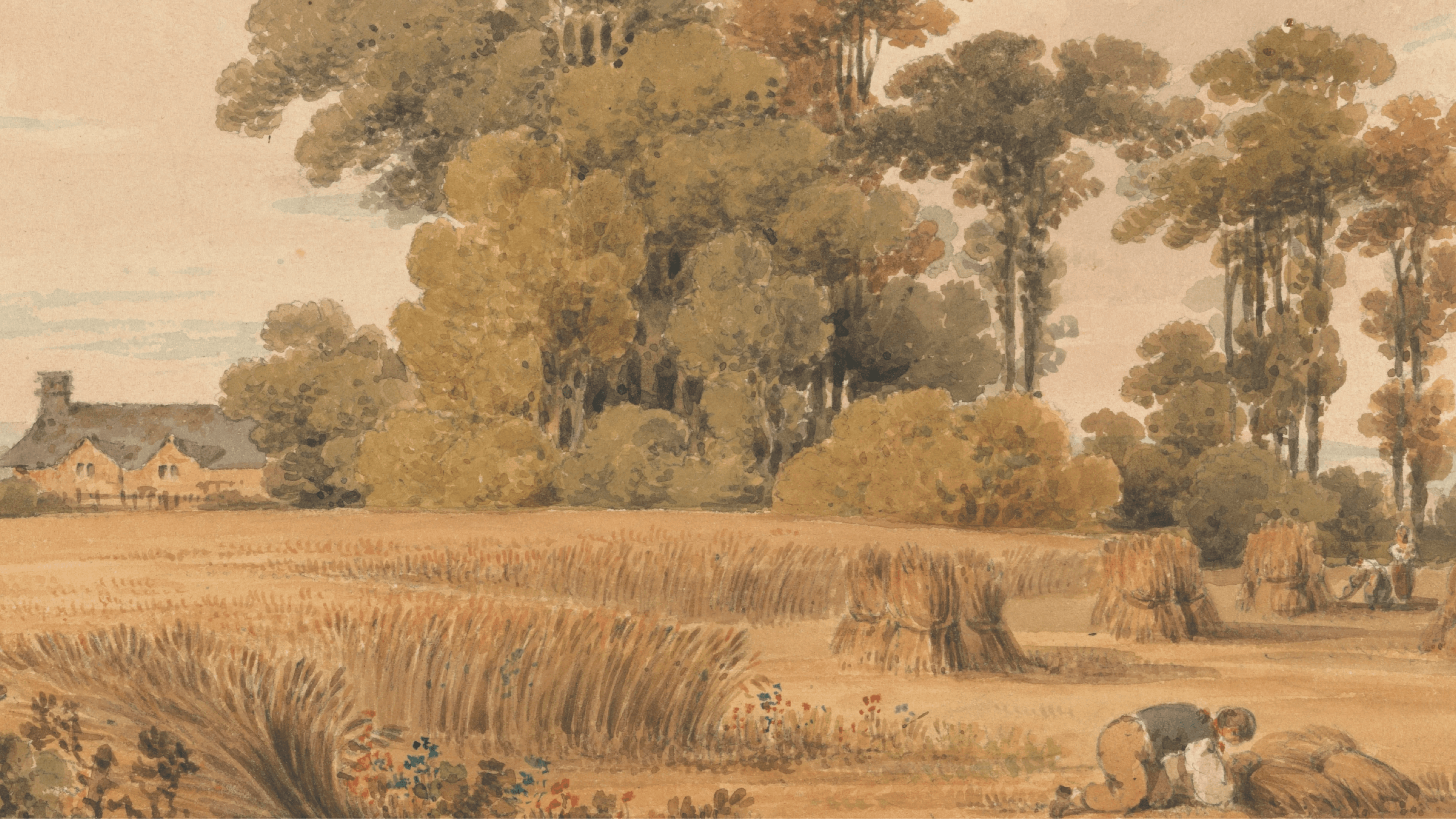 i2y2-product-page-asset-backgrounds-countryside-04-16-9