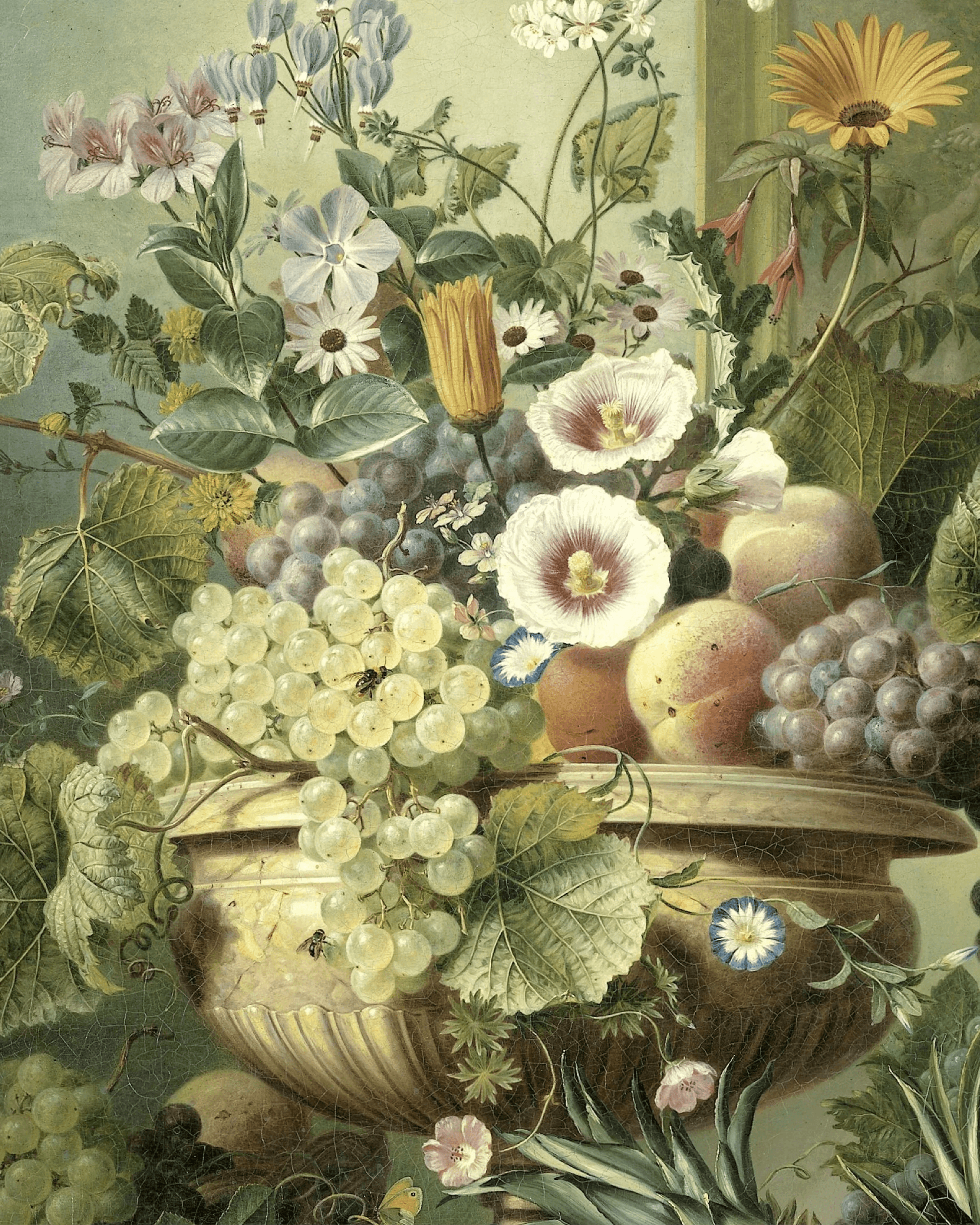 i2y2-product-page-asset-backgrounds-flowers-07-4-5