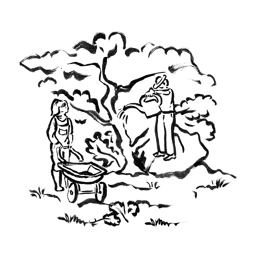 Ink illustration of two gardeners tending a flower bed