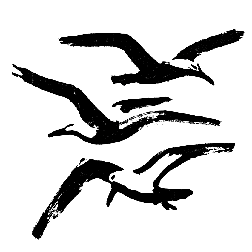 Black ink illustration of seagulls in flight