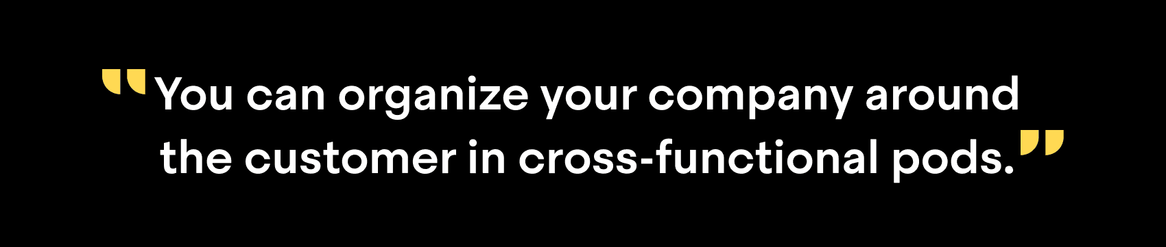 "You can organize your company around the customer in cross-functional pods."